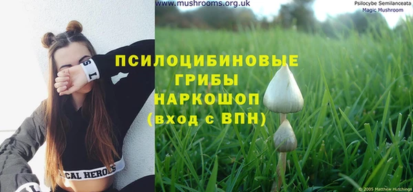 кокаин премиум Алексин