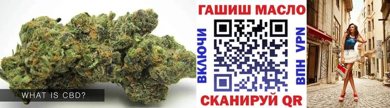 ТГК концентрат  закладка  Цоци-Юрт 